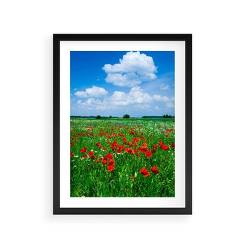 Plakat w ramie 40x50 - Kolorowa łąka pełna maku - łąka, maki - rama czarna