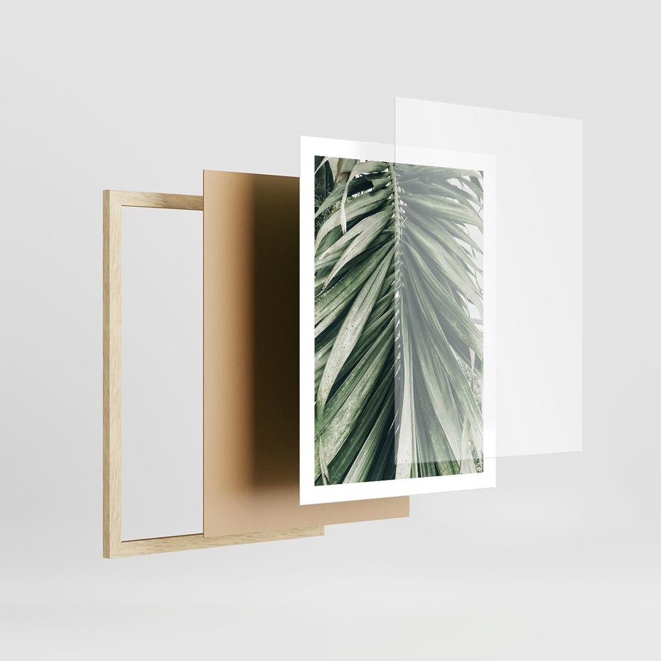 Plakat w ramie 50x70 - Spokojna Piękność Palmowych Liści - palma, liście palmy - rama drewno