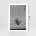 Plakat bez ramy 21x30 - Samotne Drzewo - samotne drzewo w polu, czarno białe zdjęcie