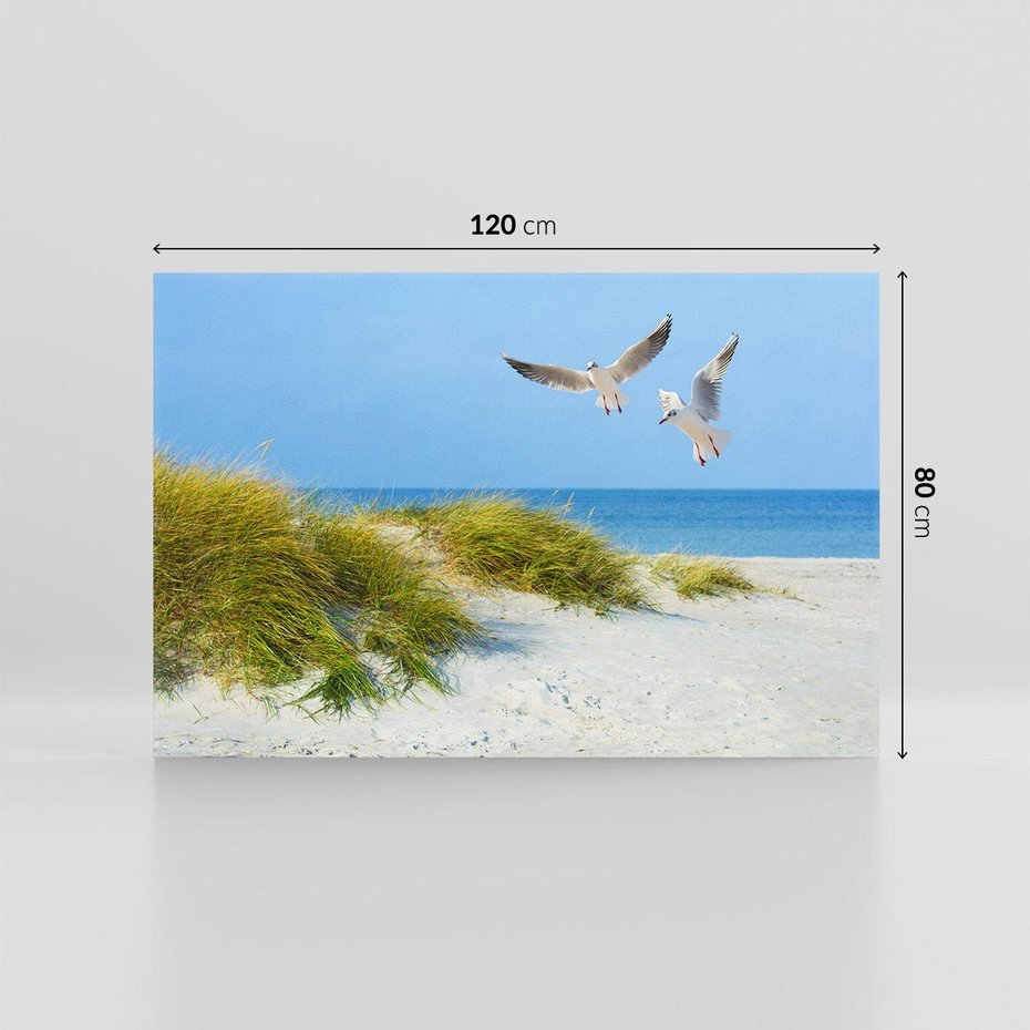 Obraz na płótnie 120x80 - Mewy nad morską plażą - mewy, plaża