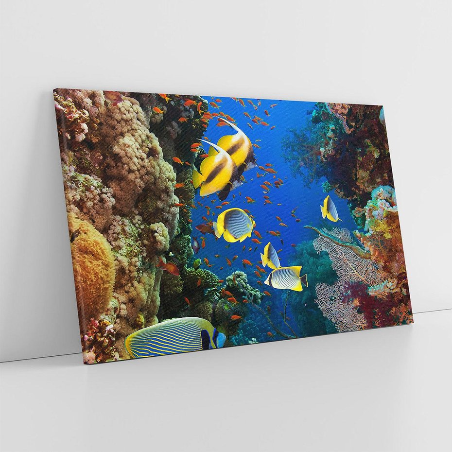 Obraz na płótnie 70x50 - Podwodne królestwo rafy koralowej - rafa, koralowa
