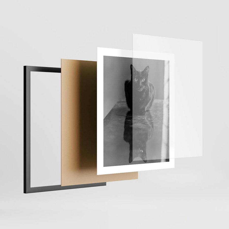 Plakat w ramie 40x50 - Kocie Oczy - kot, czarno białe zdjęcie - rama czarna