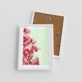 Plakat w ramie 30x40 - Orchidea - delikatne kwiaty - orchidea, kwiaty - rama biała
