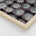 Zestaw obrazy w ramie 50x70 galeria - Kaktusy, liście, boho - rama drewno