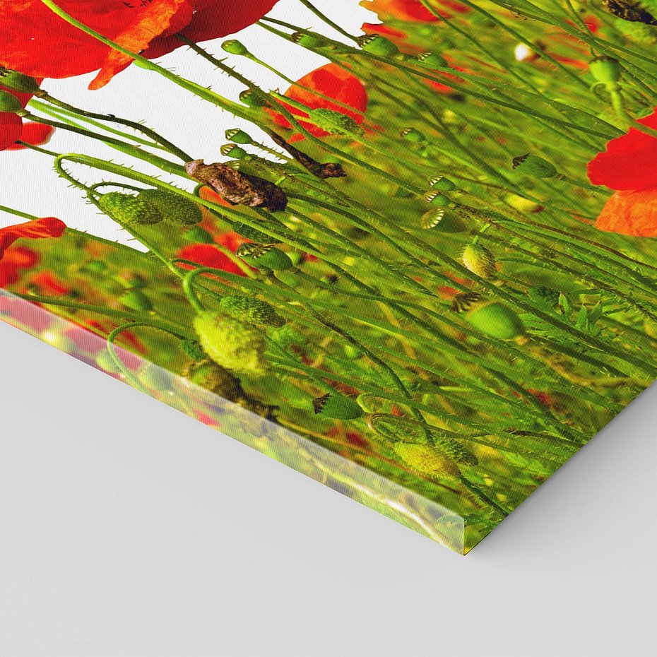 Obraz na płótnie 80x120 - Bujne maki na malowniczej łące - mak, maki