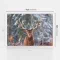 Obraz w ramie 70x50 - Monarcha Zimowej Dziczy - jeleń, zima - rama biała