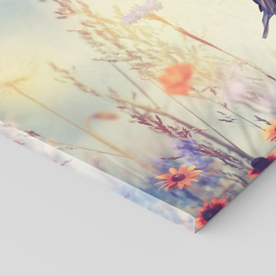 Obraz na płótnie 120x60 - Poranek wśród łąki - ptak, łąka