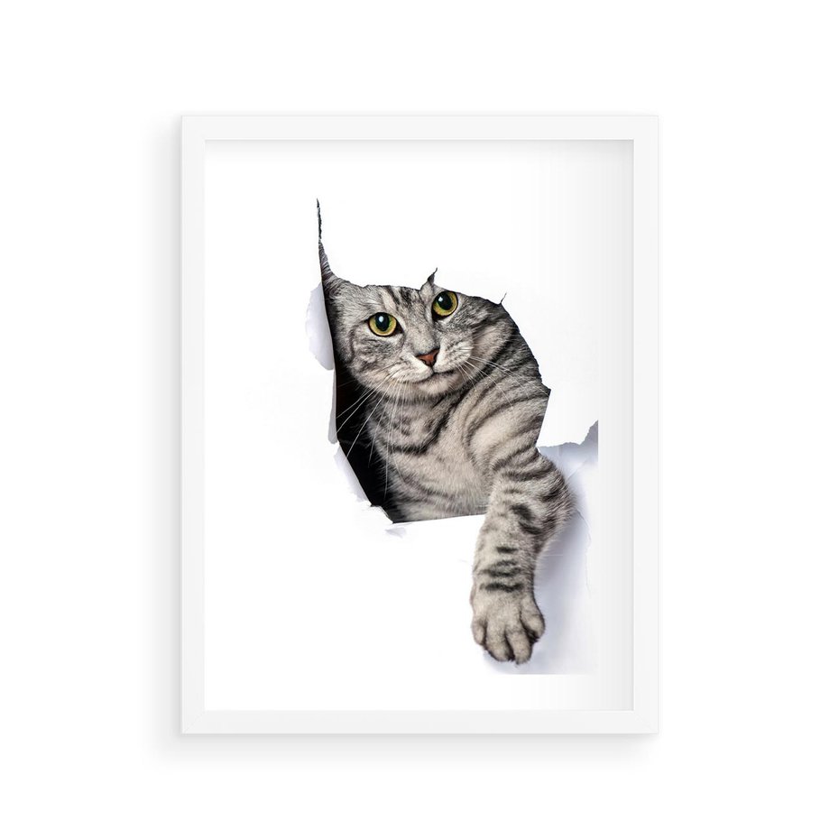 Plakat w ramie 30x40 - Tajemniczy kot i jego świat - kot, dziura - rama biała
