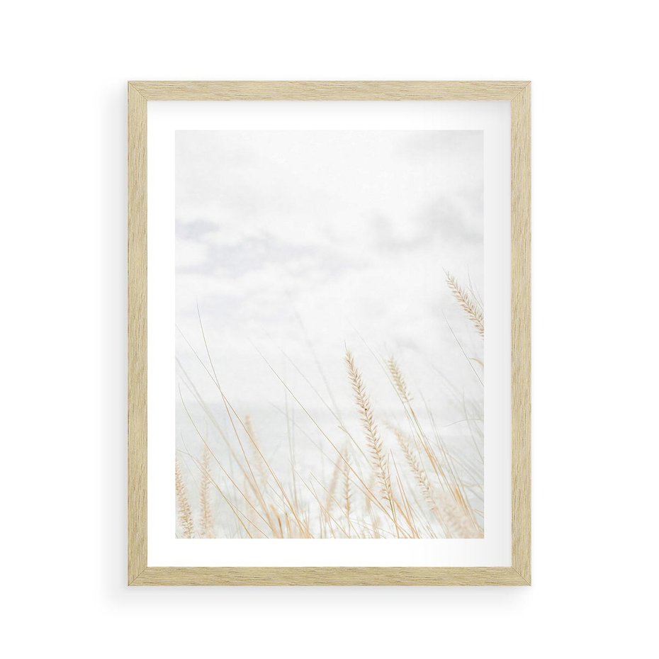 Plakat w ramie 40x50 - Jasna Delikatność: Fotografia Suchych Traw - suche trawy, jasna fotografia - rama drewno