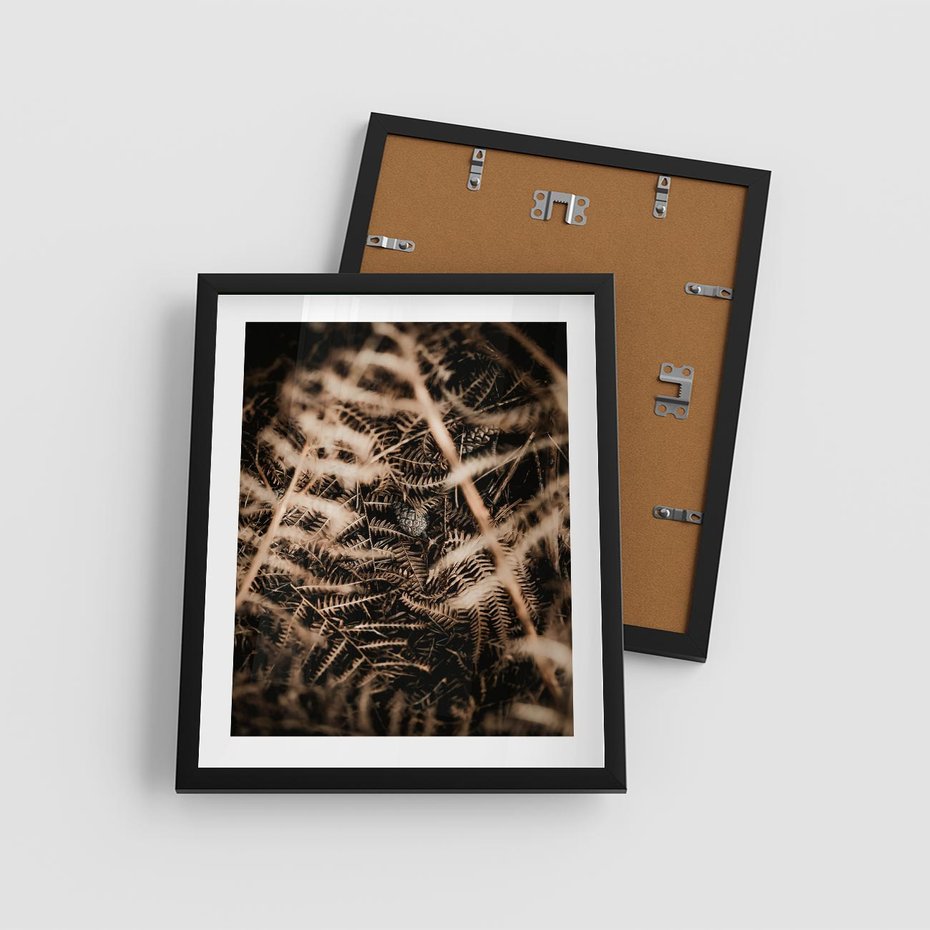 Plakat w ramie 40x50 - Liście i Paprocie - suche liście, paprocie - rama czarna