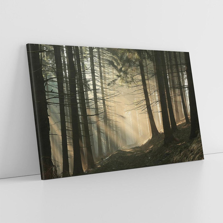 Obraz na płótnie 120x80 - Urok lasu: drzewa w pełnej okazałości - las, drzewa