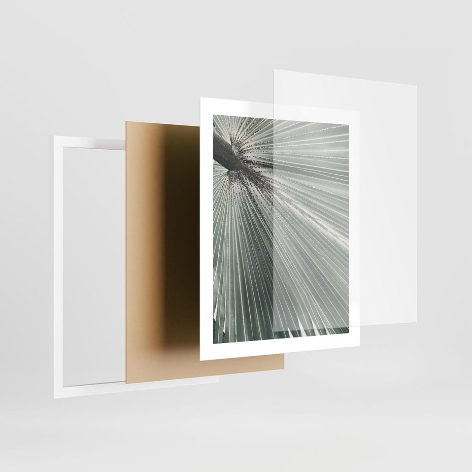 Plakat w ramie 40x50 - Jasnozielony Świat - palma, liść - rama biała