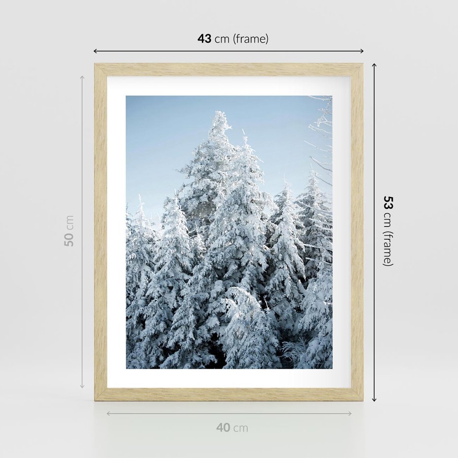 Plakat w ramie 40x50 - Magia Śnieżnych Drzew - zima, iglaste drzewa - rama drewno