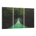 Obraz na płótnie 120x80 - Most linowy w lesie - most, linowy