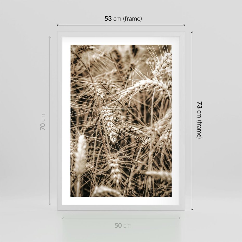Plakat w ramie 50x70 - Zbliżenie na Kłosy Zboża - zboża, kłosy zboża - rama biała