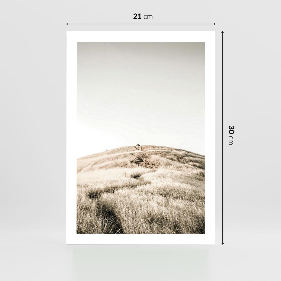 Plakat bez ramy 21x30 - Wzgórze w Odcieniach Sepii - wzgórze, trawy