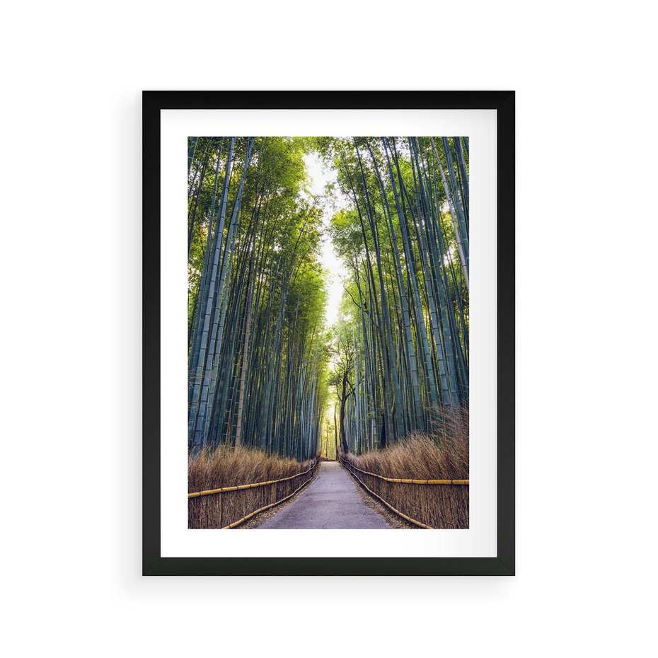 Plakat w ramie 30x40 - Urokliwa dróżka w lesie - las, dróżka - rama czarna