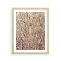 Plakat w ramie 40x50 - Suche Trawy w Wyjątkowym Stylu - suche trawy, boho styl - rama drewno