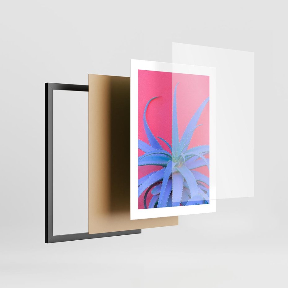 Plakat w ramie 30x40 - Piękno Pustyni - kaktusy, liście - rama czarna