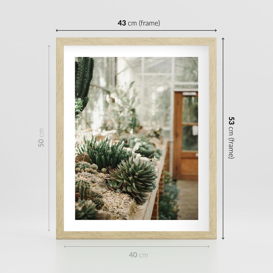 Plakat w ramie 40x50 - Sukulenty w Szklarni - sukulenty, w szklarni - rama drewno