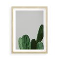 Plakat w ramie 50x70 - Majestatyczne Wysokości - kaktusy, liście - rama drewno