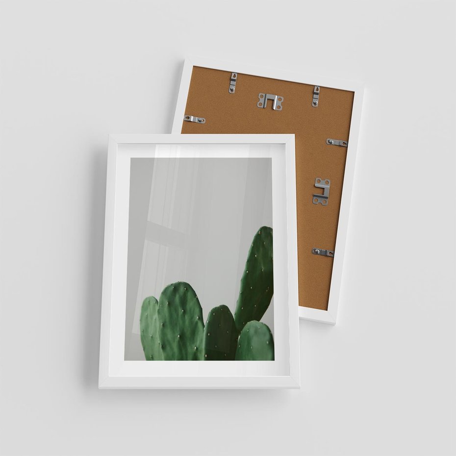 Plakat w ramie 30x40 - Majestatyczne Wysokości - kaktusy, liście - rama biała