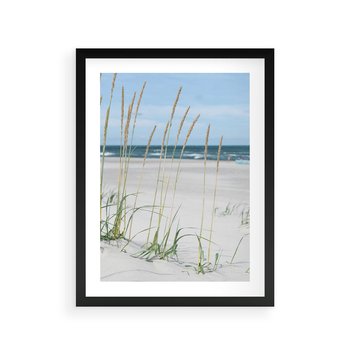 Plakat w ramie 40x50 - Przytulna Śródziemnomorska Trawa - plaża, trawy - rama czarna