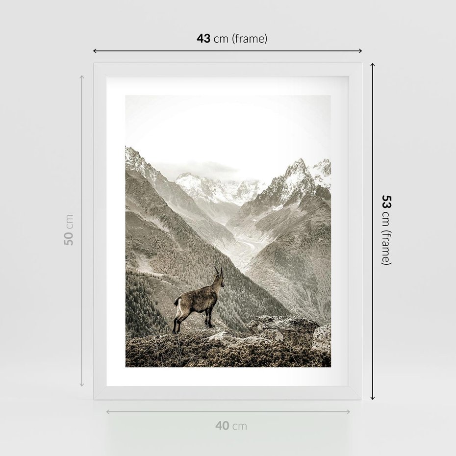 Plakat w ramie 40x50 - Dzikie Piękno: Kozica w Malowniczym Górskim Scenerii - kozica, góry - rama biała