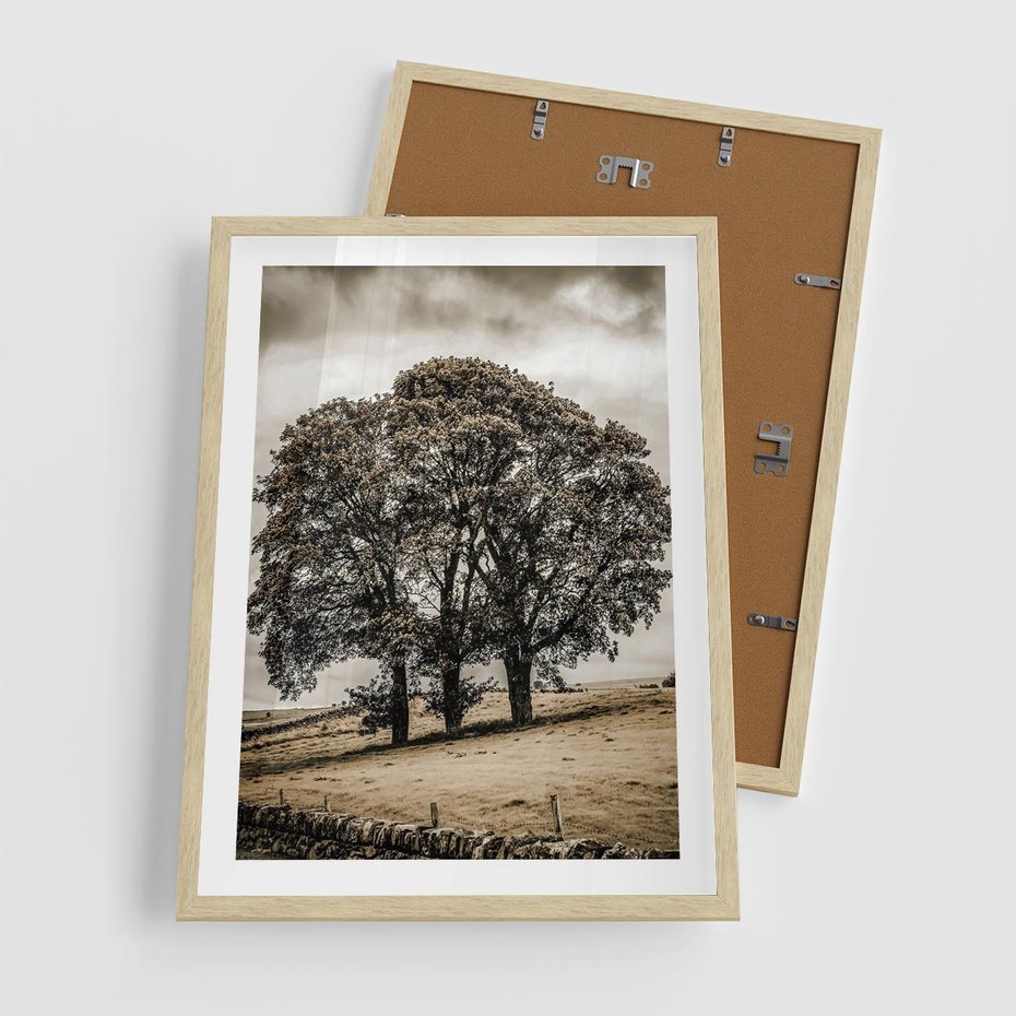 Plakat w ramie 50x70 - Spokojna Osamotniona Chwila - beżowe kolory, samotne drzewo na polu - rama drewno