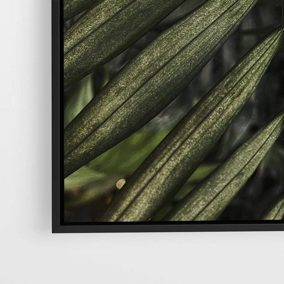 Obraz w ramie 50x50 - W Liściach Ukryte - zdjęcie, fotografia - rama czarna
