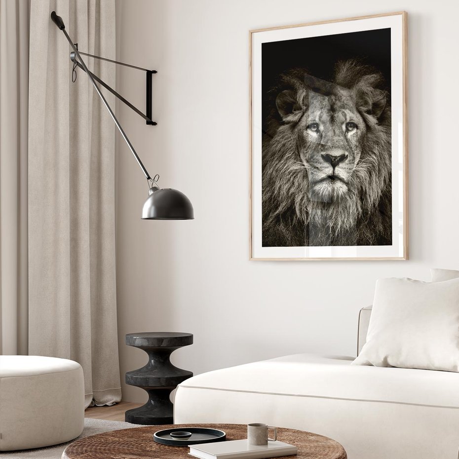 Plakat w ramie 40x50 - Moc lewego spojrzenia - lew, czarno - rama drewno