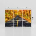 Obraz na płótnie 120x80 - Droga przez jesienny las - droga, las