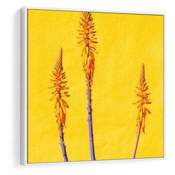 Obraz w ramie 80x80 - Radość Natury - kolor, kwiaty - rama biała