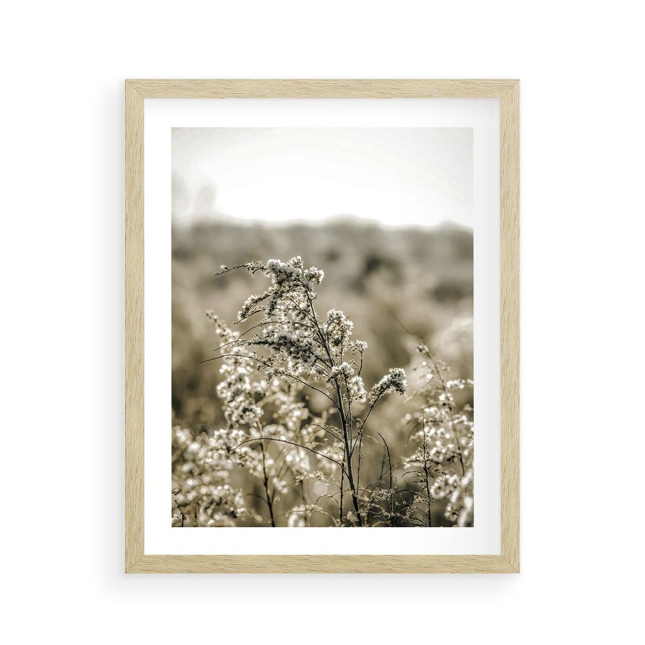 Plakat w ramie 40x50 - Pampas i Bocho - suche trawy, bocho - rama drewno