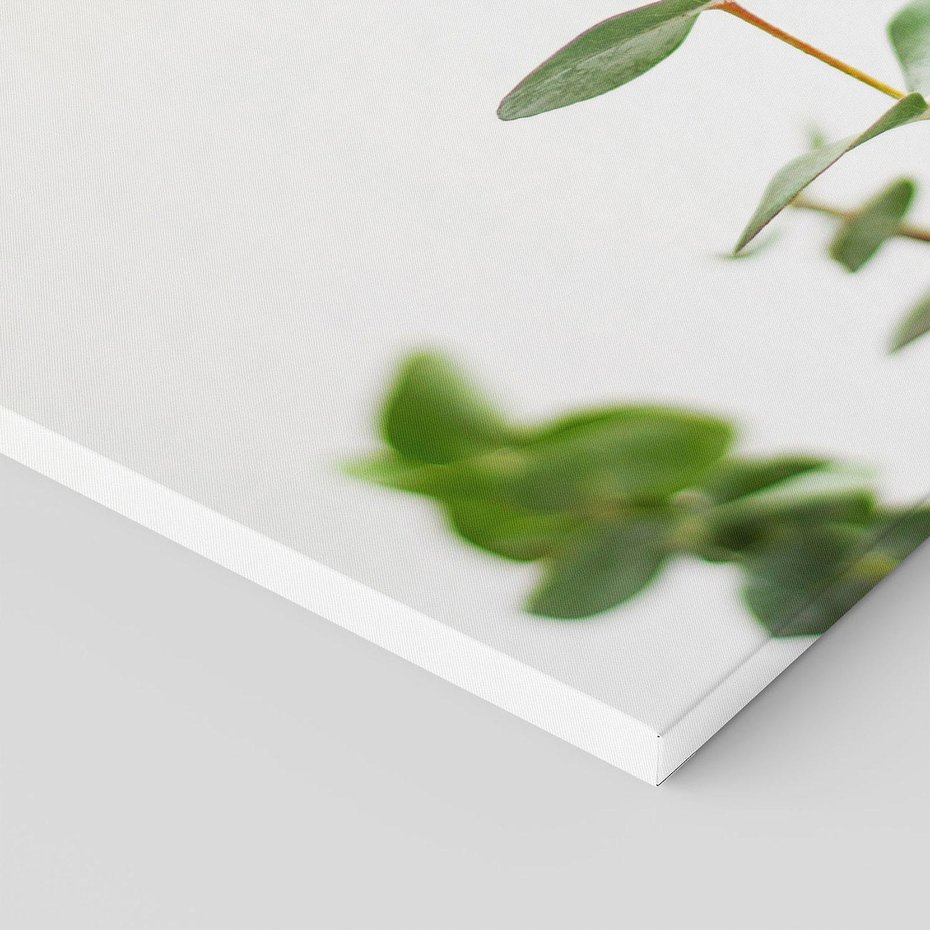 Obraz na płótnie 70x50 - Żywa eukaliptusowa zieleń - eukaliptus, zielone