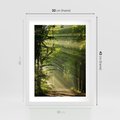 Plakat w ramie 30x40 - harmonia natury - las, drzewa - rama biała