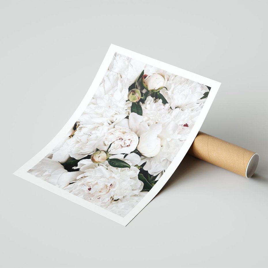 Plakat bez ramy 30x40 - Modne Białe Kwiaty - białe kwiaty, płatki