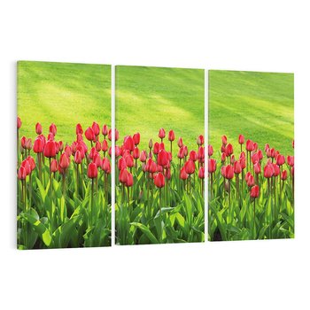 Obraz na płótnie 120x80 - Tulipanowy raj - kwiat, kwiaty