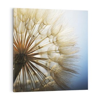 Obraz na płótnie 40x40 - Delikatny dmuchawiec w pełnym rozkwicie - dmuchawiec, kwiat