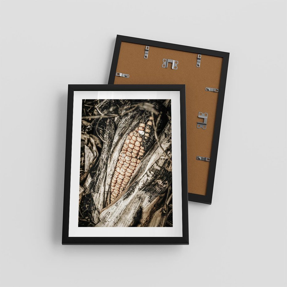 Plakat w ramie 30x40 - Kukurydza w Jesiennej Scenie - kukurydza, jesień - rama czarna