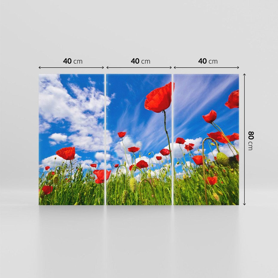 Obraz na płótnie 120x80 - Soczyste Kolory Przyrody - mak, maki