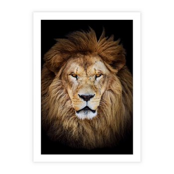 Plakat bez ramy 40x50 - Król zwierząt w majestatycznym stylu - lew, król