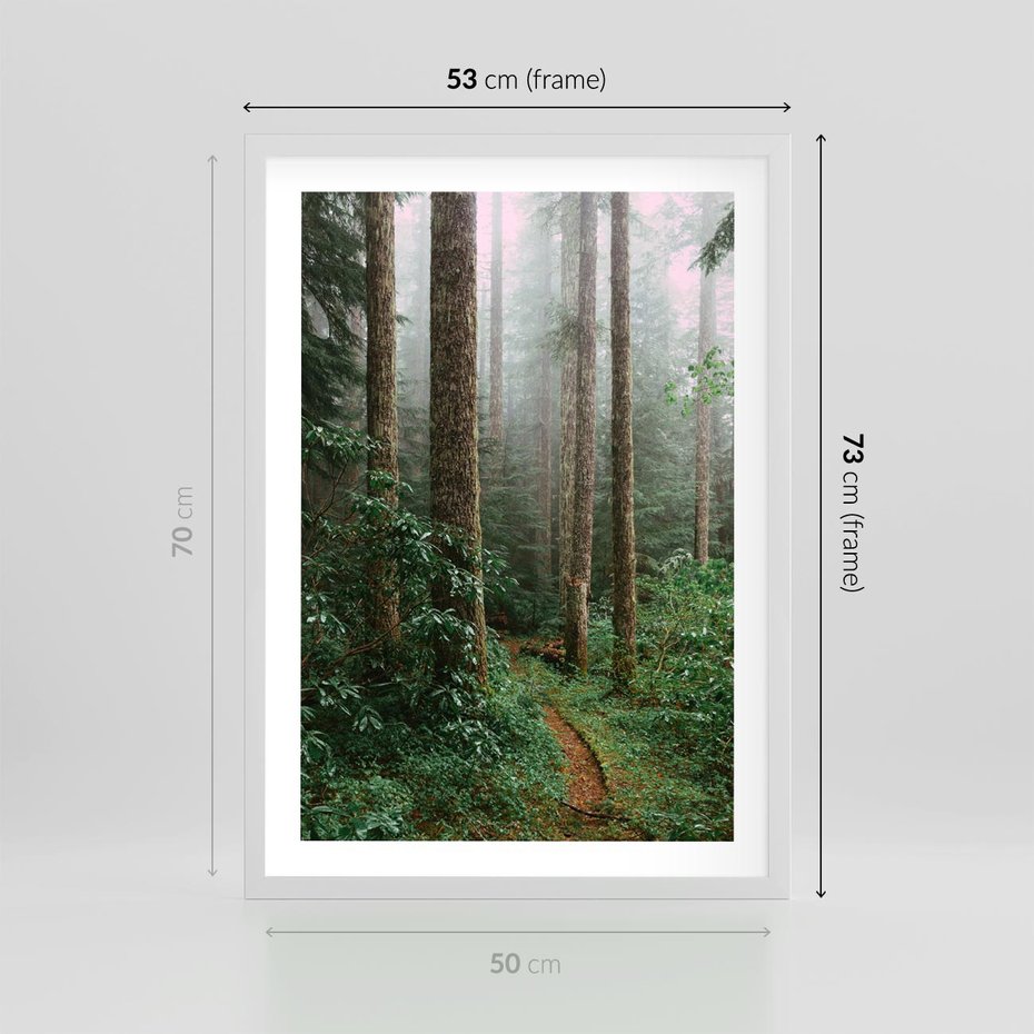Plakat w ramie 50x70 - Mgliste Marzenia - artystyczna fotografia, las - rama biała