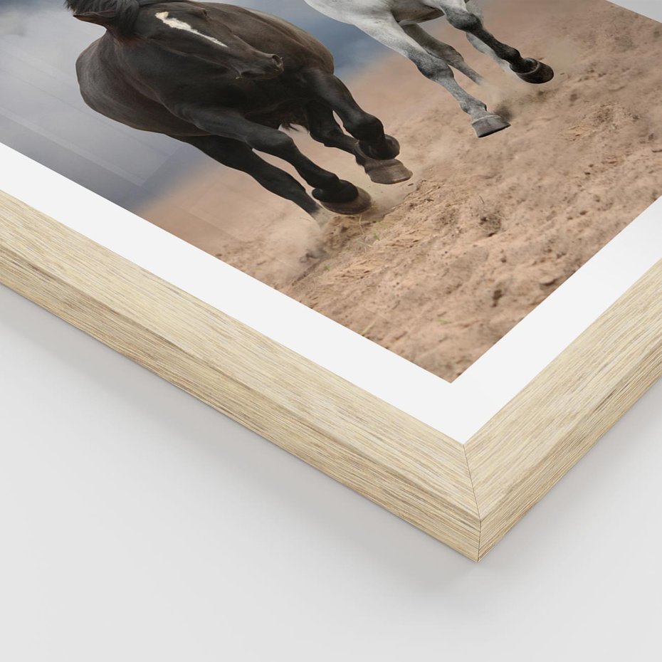 Plakat w ramie 40x50 - Siła koni w galopie - konie, galop - rama drewno