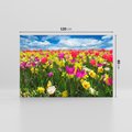 Obraz na płótnie 120x80 - tulipany na łące - kwiaty, tulipany