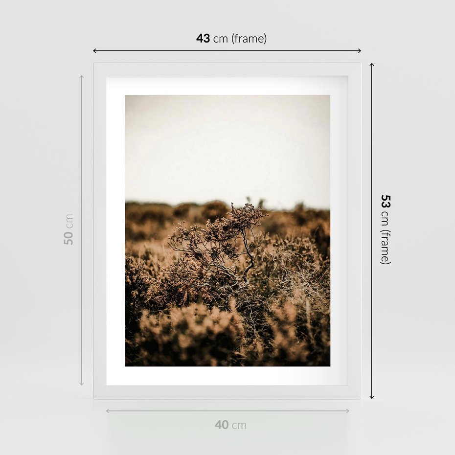 Plakat w ramie 40x50 - Krajobraz W Naturze: Beże i Brązy - suche krzewy, natura - rama biała