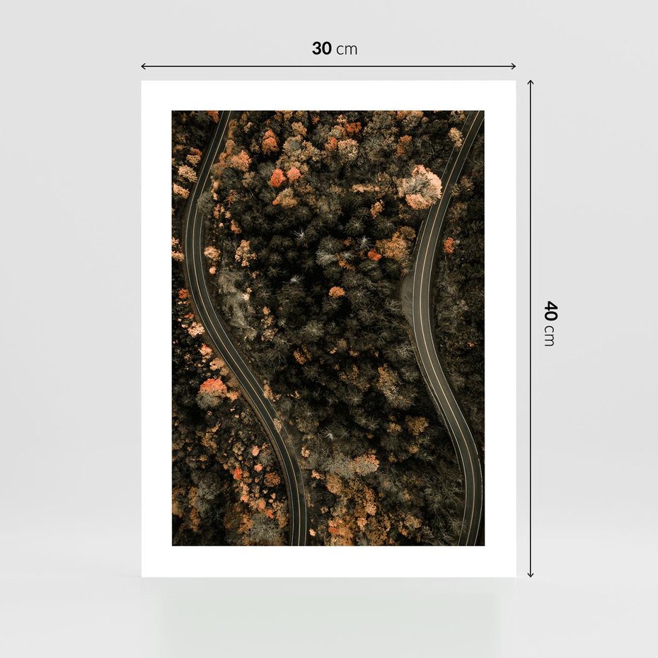 Plakat bez ramy 30x40 - Las i Droga w Kolorach Jesieni - droga, ujęcie z góry