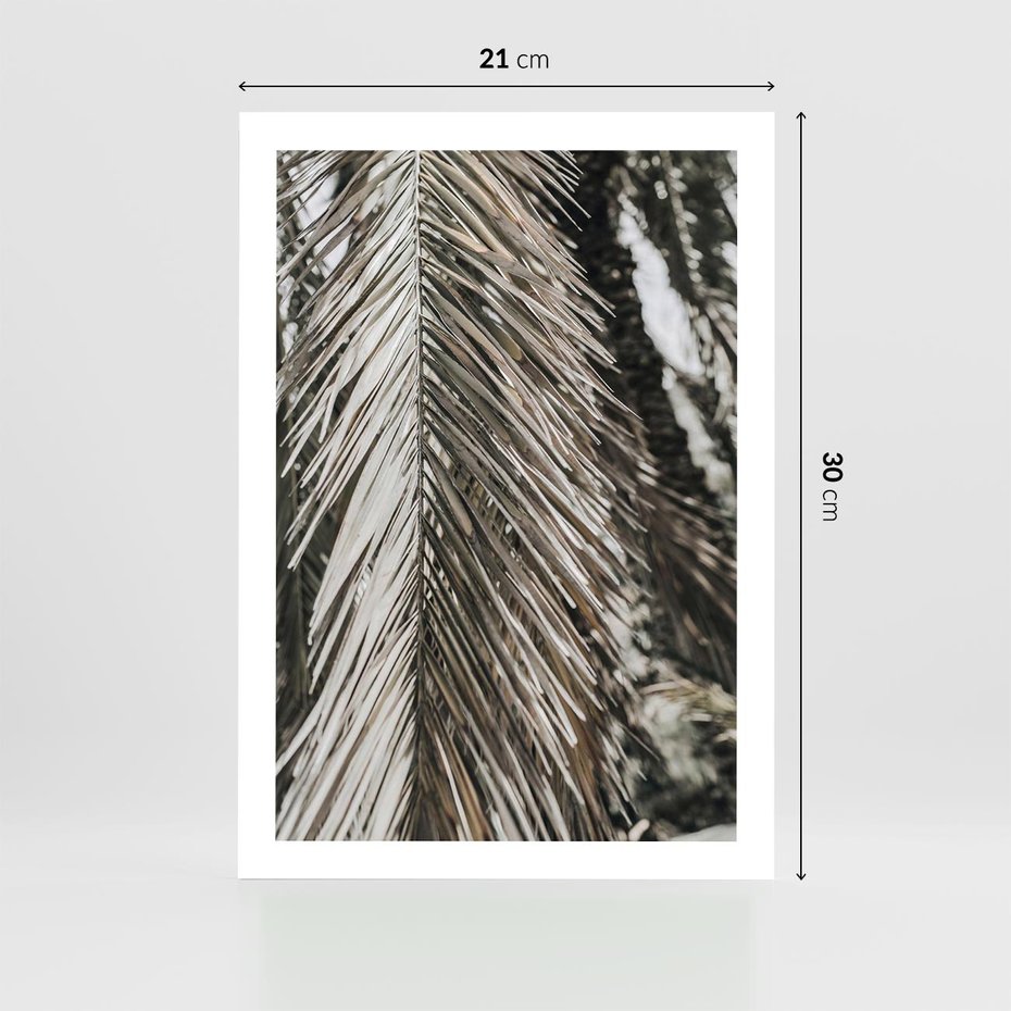 Plakat bez ramy 21x30 - Egzotyczne Gałęzie - suche gałęzie, liście palmy