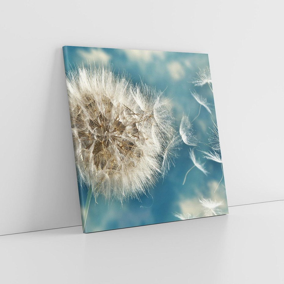 Obraz na płótnie 40x40 - Delikatność dmuchawców w pejzażu - dmuchawiec, kwiaty