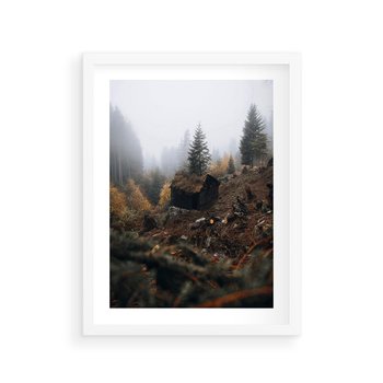 Plakat w ramie 50x70 - Górski las - stary zniszczony domek w górach, góry - rama biała